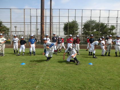 baseball-com-420483