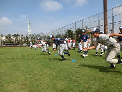 baseball-com-420485