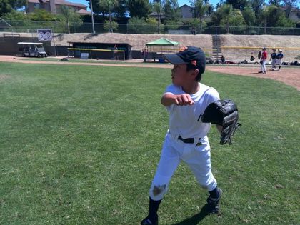 baseball-com1-420315[1]