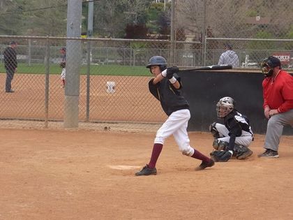 baseball-com1-311187[1]