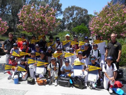 baseball-com1-340895[1]