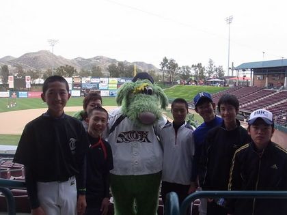 baseball-com1-310436[1]