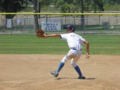 baseball-com1-421824[1]