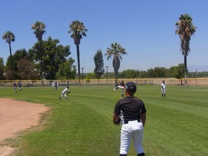 baseball-com1-421813[1]