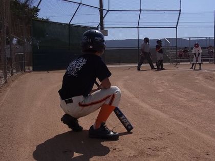 baseball-com1-339971[1]