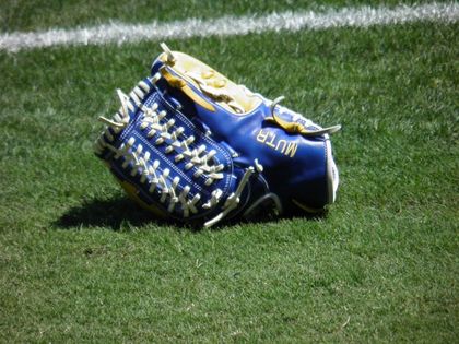 baseball-com1-341094[1]