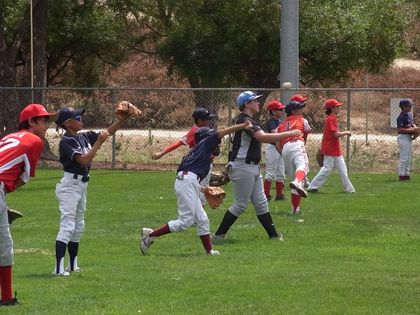 baseball-com1-340901[1]