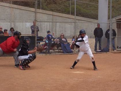 baseball-com1-311193[1]