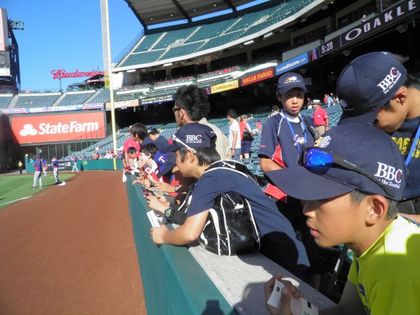 baseball-com1-422151[1]