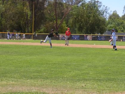 baseball-com1-420312[1]