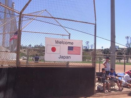 baseball-com1-258487[1]