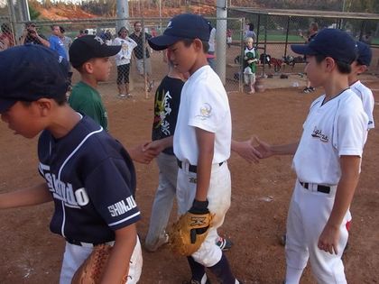 baseball-com1-340931[1]