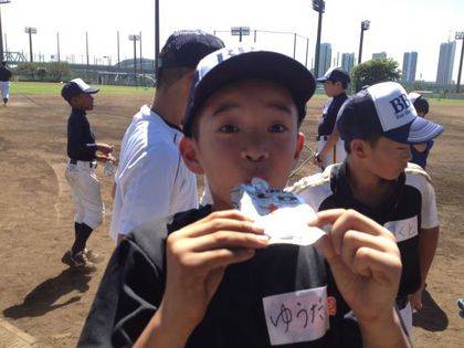 baseball-com-338082