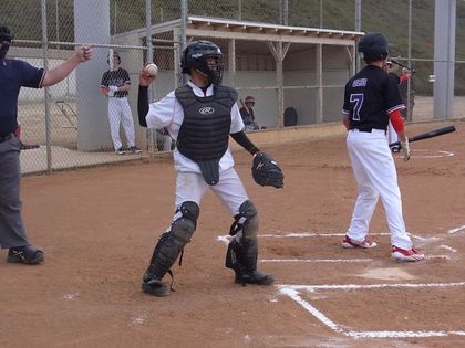 baseball-com1-311485[1]