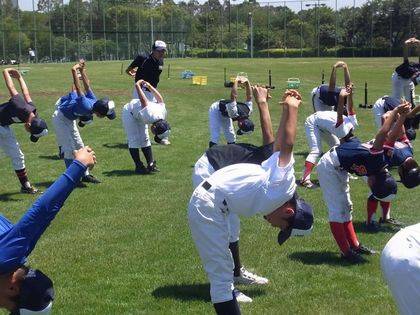 baseball-com-338061