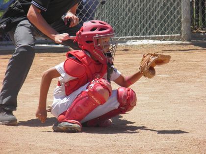 baseball-com1-421822[1]
