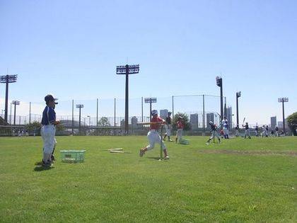 baseball-com-338072