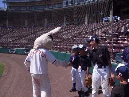 baseball-com1-257100[1]