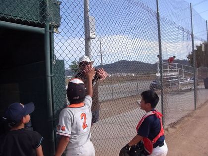 baseball-com1-339984[1]