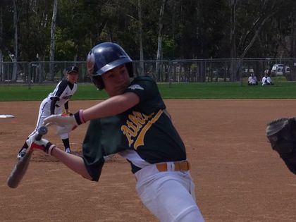 baseball-com1-229904[1]