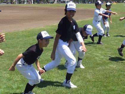 baseball-com-338067