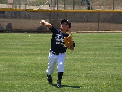 baseball-com1-340003[1]